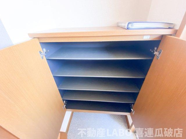 プランドール・ミノルのその他