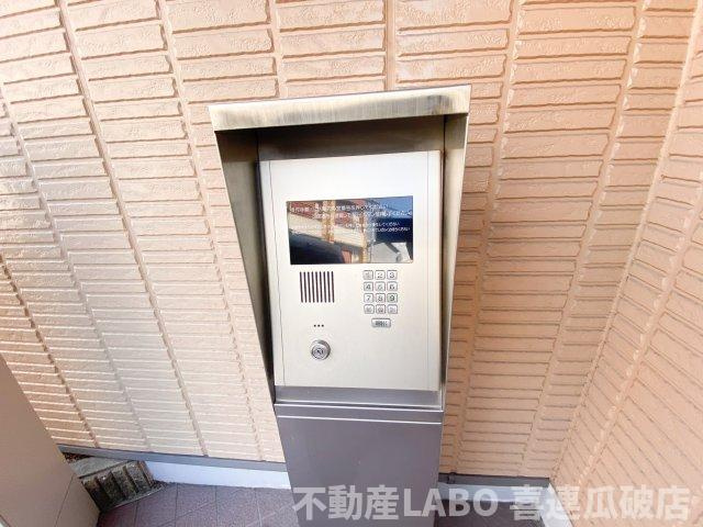 プランドール・ミノルのその他