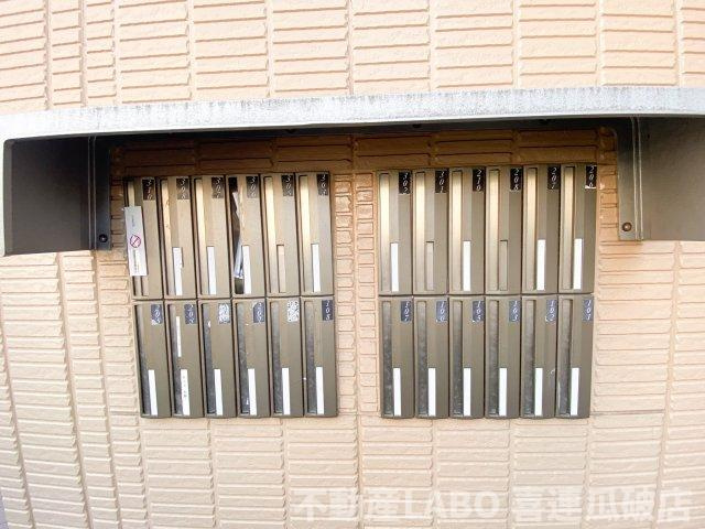 プランドール・ミノルのその他