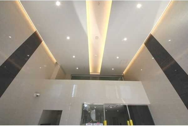 ディアレイシャス新栄　名古屋市賃貸　仲介手数料無料のエントランス