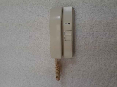 【セキュリティ】 | フォルティナドムス