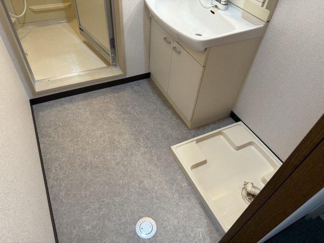 ルミナス大垣駅西の洗面所