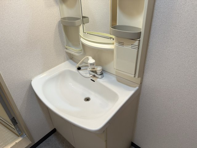 ルミナス大垣駅西の独立洗面台