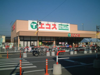 【周辺】 | ワイズ　パラシオン | エコスまで320ｍ