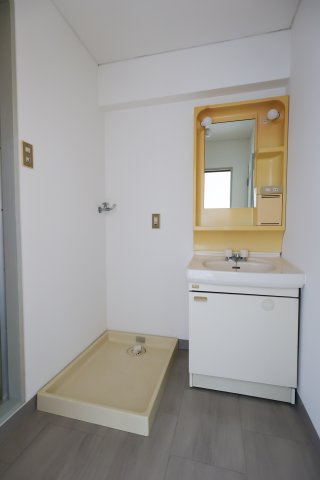 ラ・フェスタ小山の洗面所