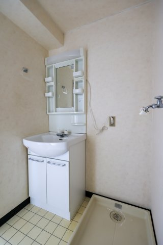 ラ・フェスタ小山の洗面所