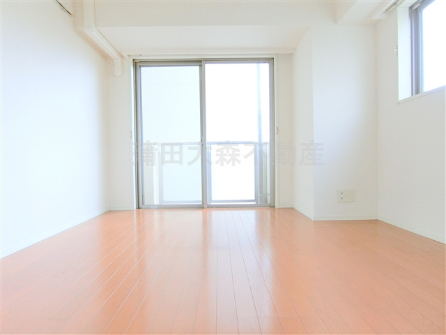 シンシア蒲田ステーションプラザの居間・リビング|南向き南西角部屋2面採光の洋室　