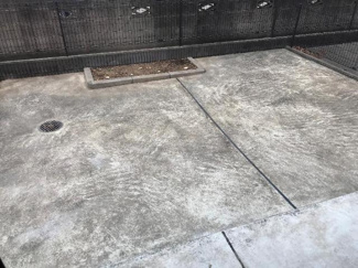 【その他】 | エーデルハイム | 庭