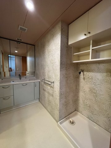 ジュネス泉佐野コンドミニオの洗面所