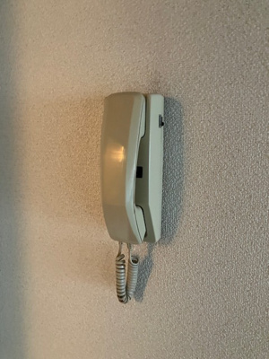 【セキュリティ】 | シテ・ラピーヌ南行徳