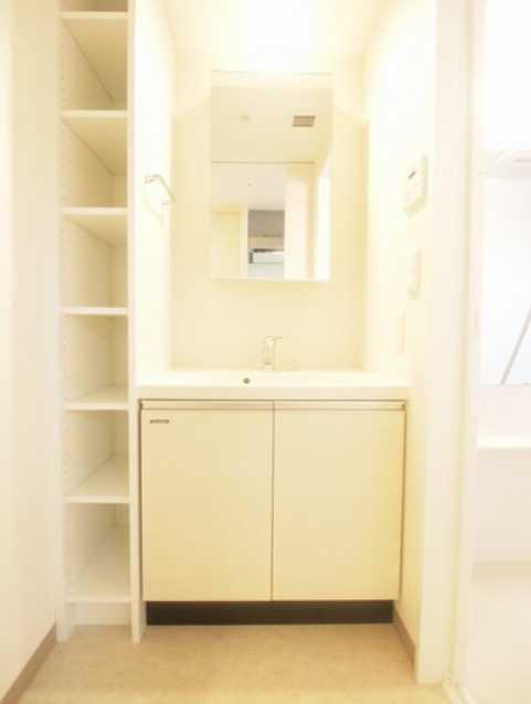 プライムメゾン早稲田　最上階　スーパー至近　眺望良好の洗面所