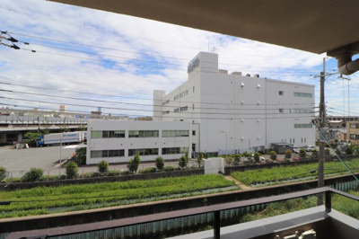 【展望】 | プロックコート