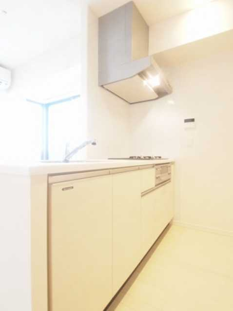 プライムメゾン早稲田　眺望良好　スーパー至近　角部屋のキッチン