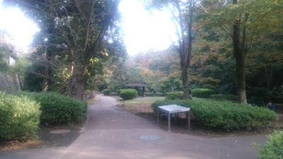 【周辺】 | サンビレッヂ町田(サンビレッヂマチダ)