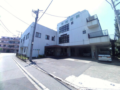 【周辺】 | オリーブ