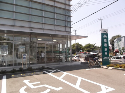 【周辺】 | オリーブ