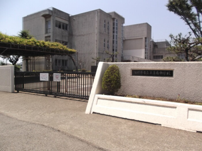 【周辺】 | オリーブ