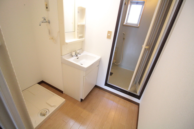 グリーンハイツAの洗面所