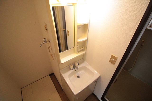 グリーンハイツAの洗面所