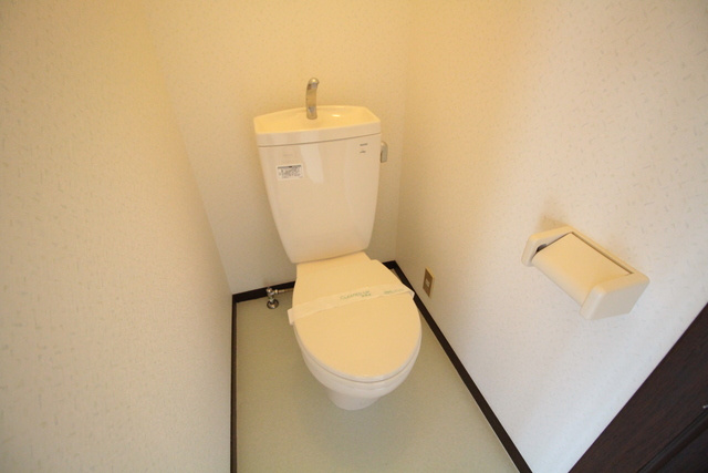 グリーンハイツAのトイレ