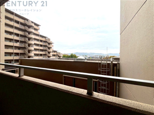 物件からの展望