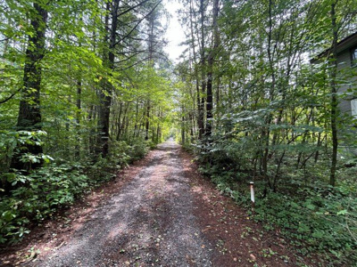 【周辺】 | 吾妻郡嬬恋村大字鎌原 中古戸建