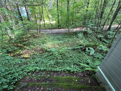 【前面道路含む現地写真】 | 吾妻郡嬬恋村大字鎌原 中古戸建