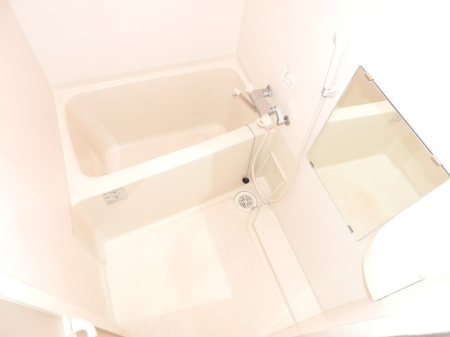 forest view泉の浴室