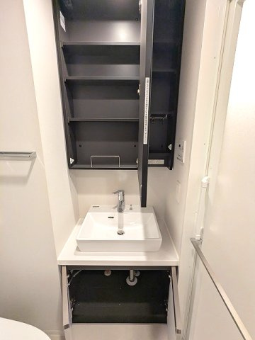 LEFOND PROGRES田原町の設備|2面鏡付ハンドシャワー付独立洗面台です