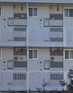 レオパレスパレスマンションⅠの玄関