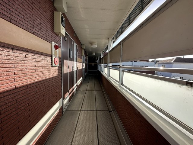 レオネクストリッフェルのその他