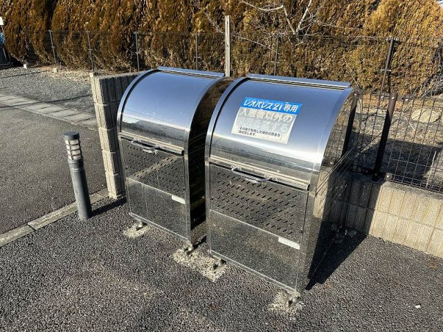 レオネクストリッフェルのその他