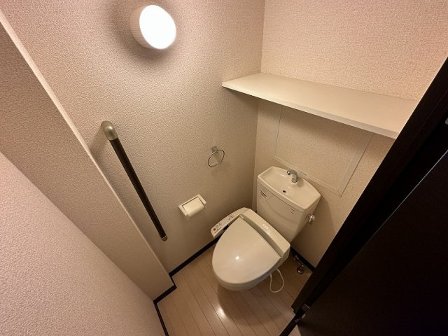 レオネクストリッフェルのその他