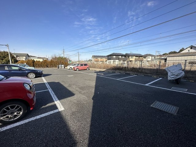 レオネクストリッフェルのその他