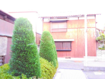 【展望】 | ソフィア