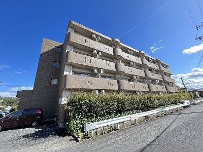 ドリームスプルースの外観