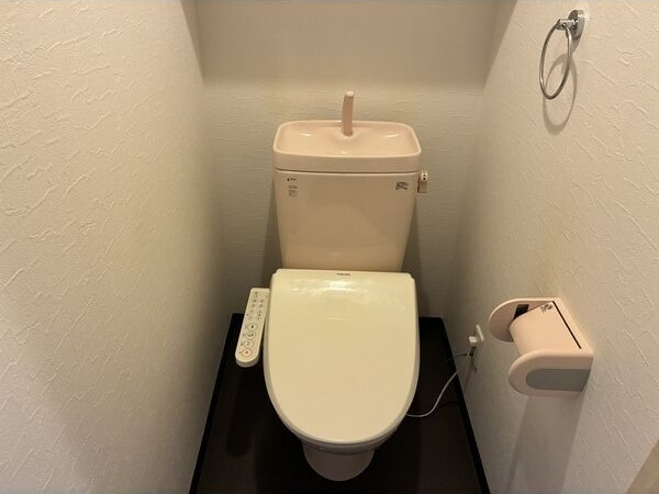 プレシャス代官のトイレ