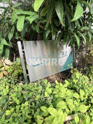 フォレストプラザ森下の庭