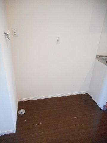 ステラのその他