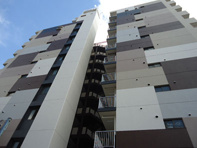 音羽ブリックスの画像