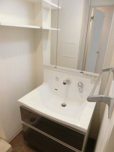 カノンパレスの洗面所