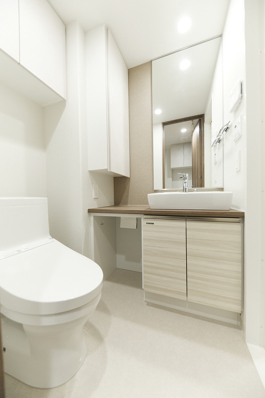 千代田区神田神保町１丁目の賃貸マンションのトイレ