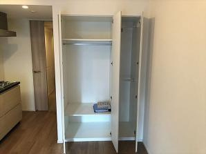 港区新橋５丁目の賃貸マンションの収納