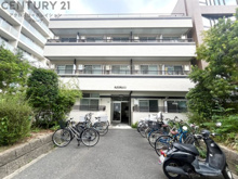 甲子園セブンの画像