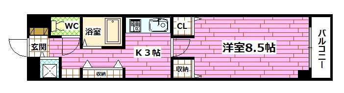 ドミール大藤の間取り