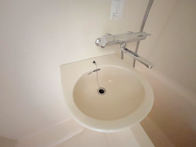 ドミール大藤の洗面所