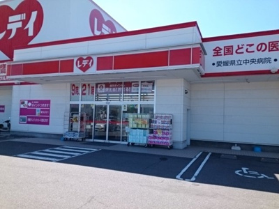 【周辺】 | ル　トワ　ヴェールＢ | くすりのレデイ鷹子店様まで900m