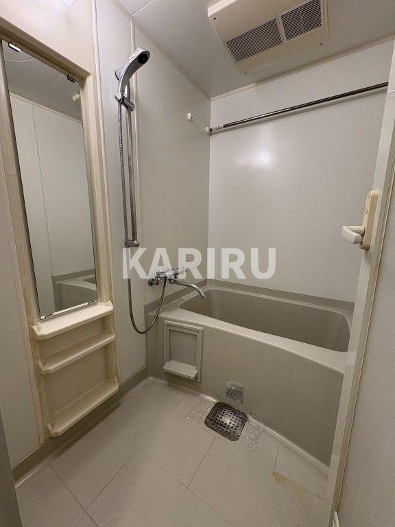 ｾｲﾜﾊﾟﾚｽ新梅田の浴室