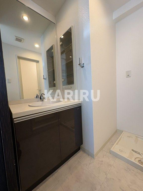 ｾｲﾜﾊﾟﾚｽ新梅田の洗面所