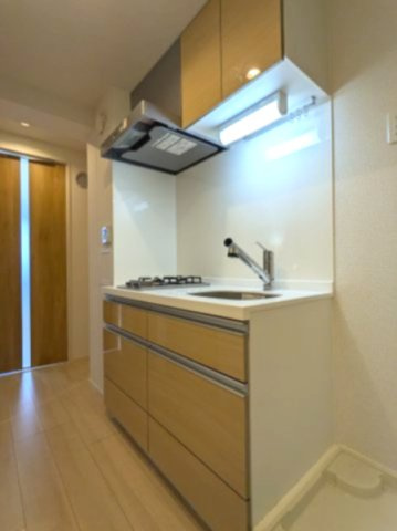 エルファーロ駒沢公園Ⅱ　新築　ペット相談　敷金礼金0　セキュリティ完備のキッチン